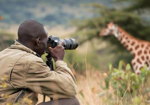 photographer-takes-picture-giraffe-wild_36682-263784_jpg_75